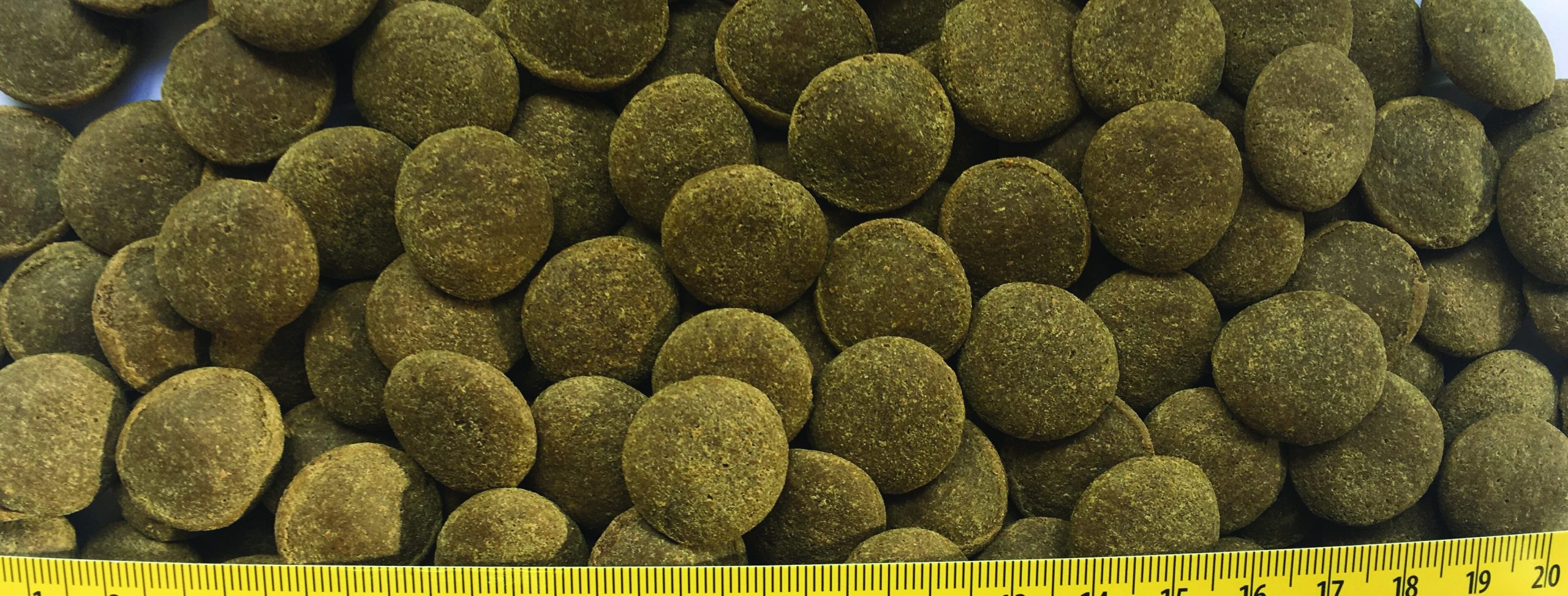 Weekend Food – FishScience