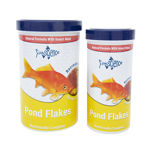 fish science koi food