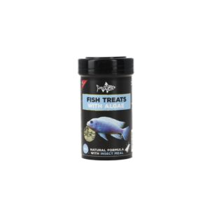 Fish Treats with Algae
