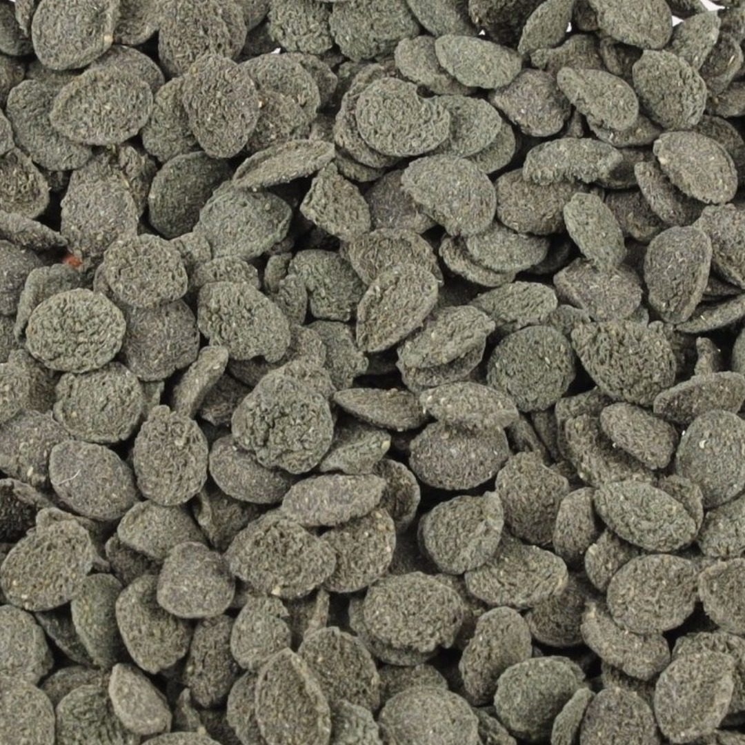 Mini Algae Wafers - Image 2