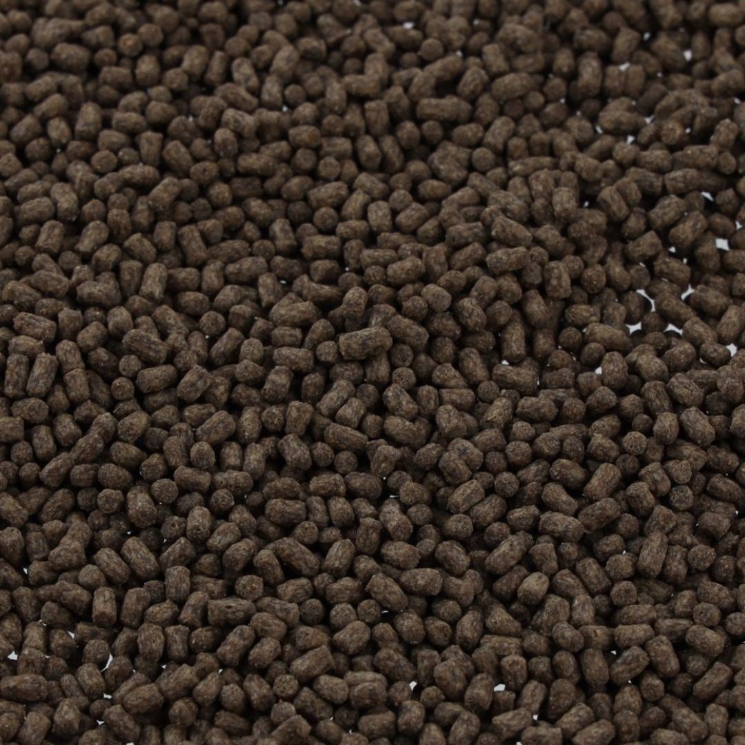 Cichlid Floating Pellets - Image 2